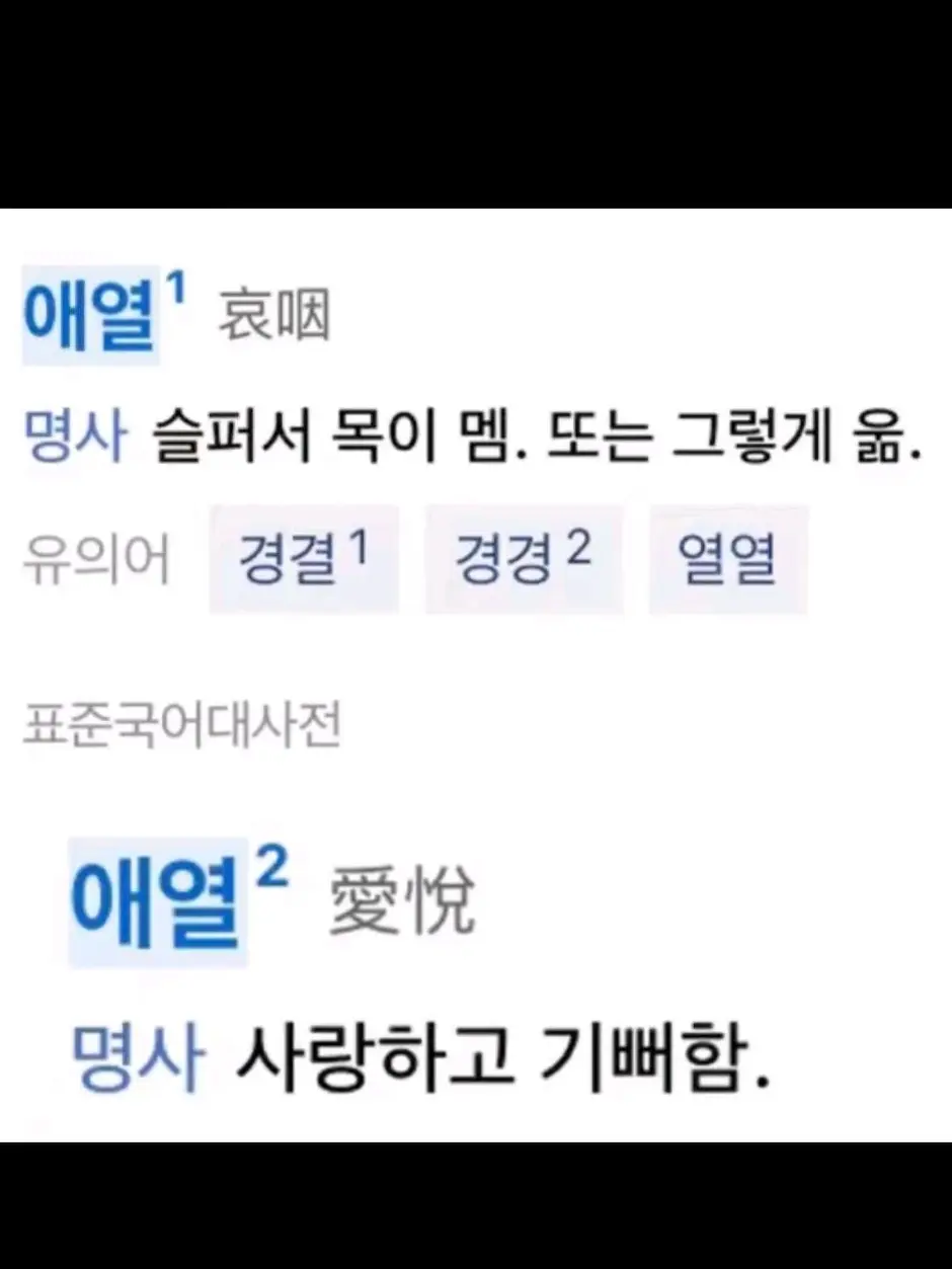 BAMTI_Nyami의 애열과 애열은 같은 뜻이 아니었다.