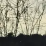 Profile image of 숲속