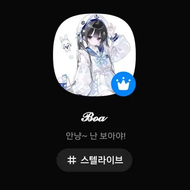 Profile image of 보아