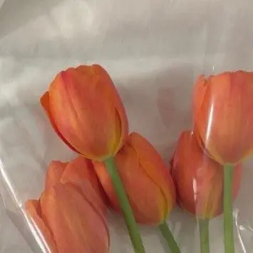 Profile image of 박덕개