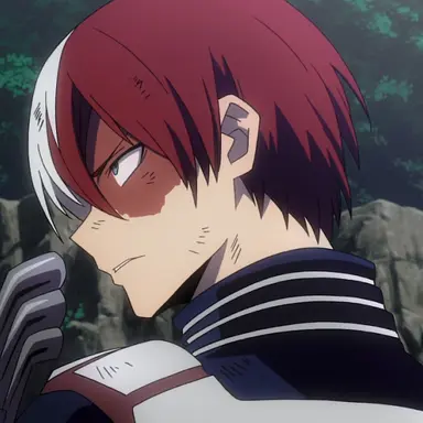 Profile image of Shoto Todoroki