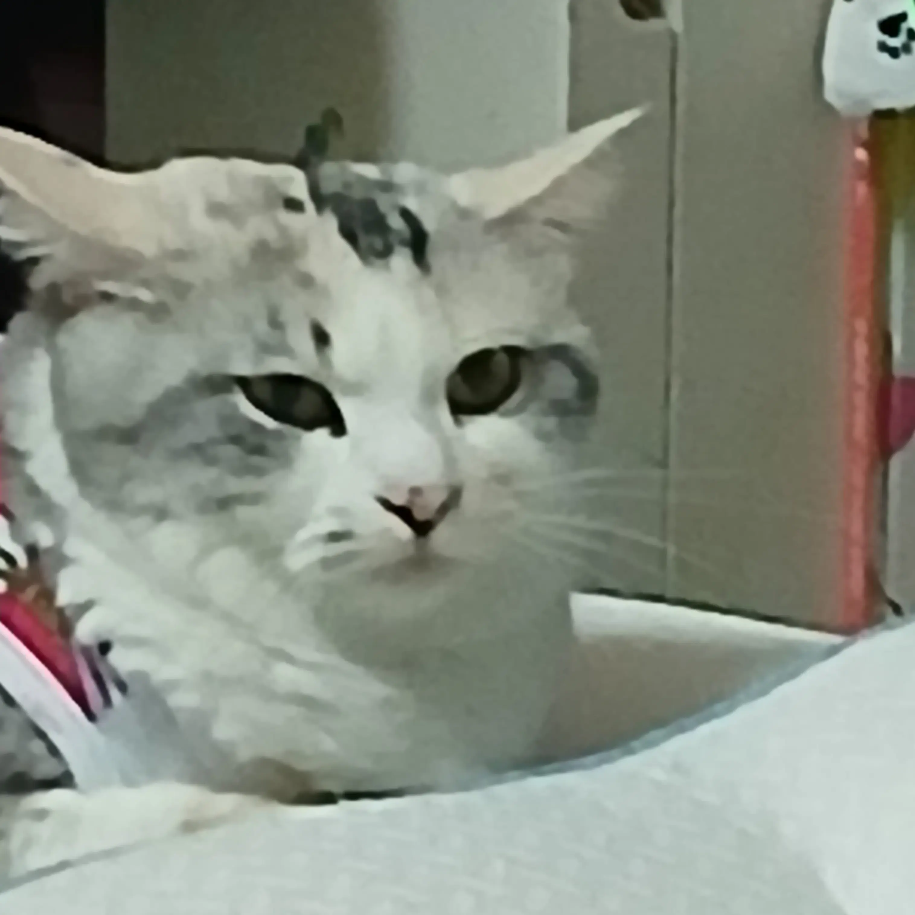 Djjfkf의 스프런키 생존자 3명 근데 펀봇은 전원 꺼지고 그레이는 큰 부상