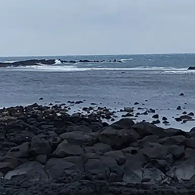 Profile image of 의연