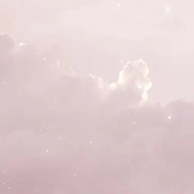 Profile image of せいか