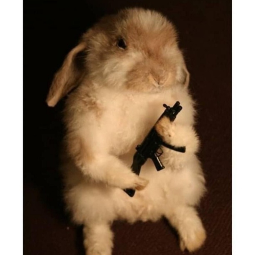 미수반/오해했던 과거와 후회 🐰 대표 이미지