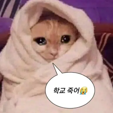 Profile image of 시코토와 나리미