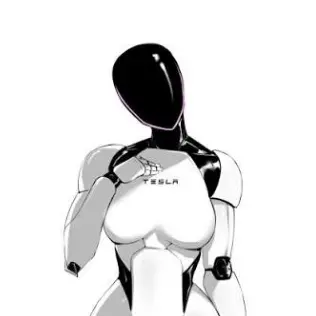 Profile image of Tesla bot 2