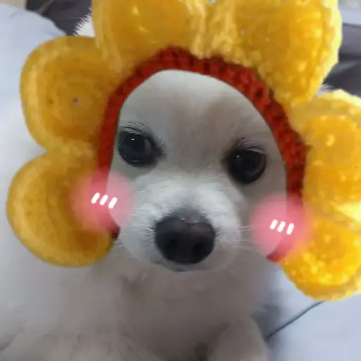 NewDoor8301의 서뽀뽀