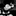 Wednesday's mickey mouse