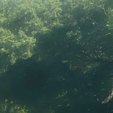 Profile image of 한지성