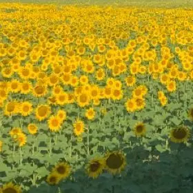 Profile image of 이용복