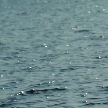 Profile image of 김승민