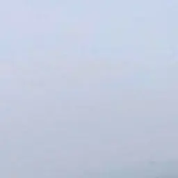 Profile image of 하츠투하트