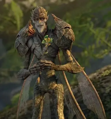 Profile image of Bog king