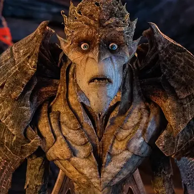 Profile image of Bog king