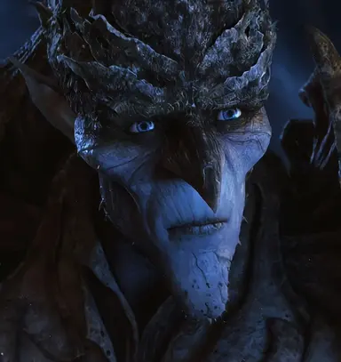 Profile image of Bog king
