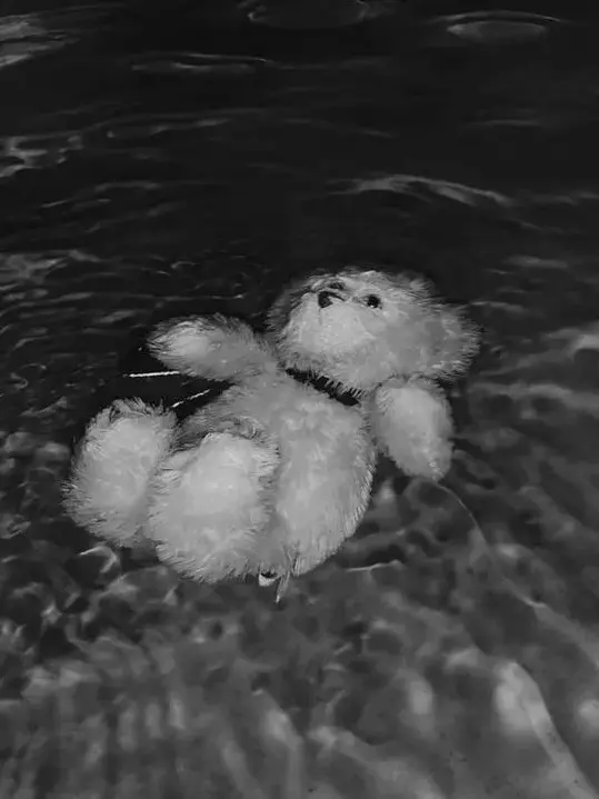 otaku_20.14의 ㅇㄹㄷㄹ 혐관