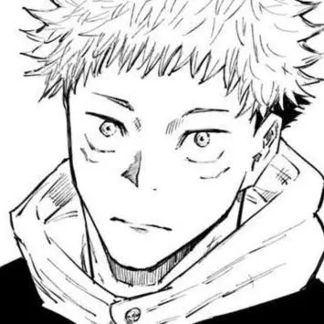 Profile image of 虎杖悠仁