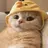 냥이