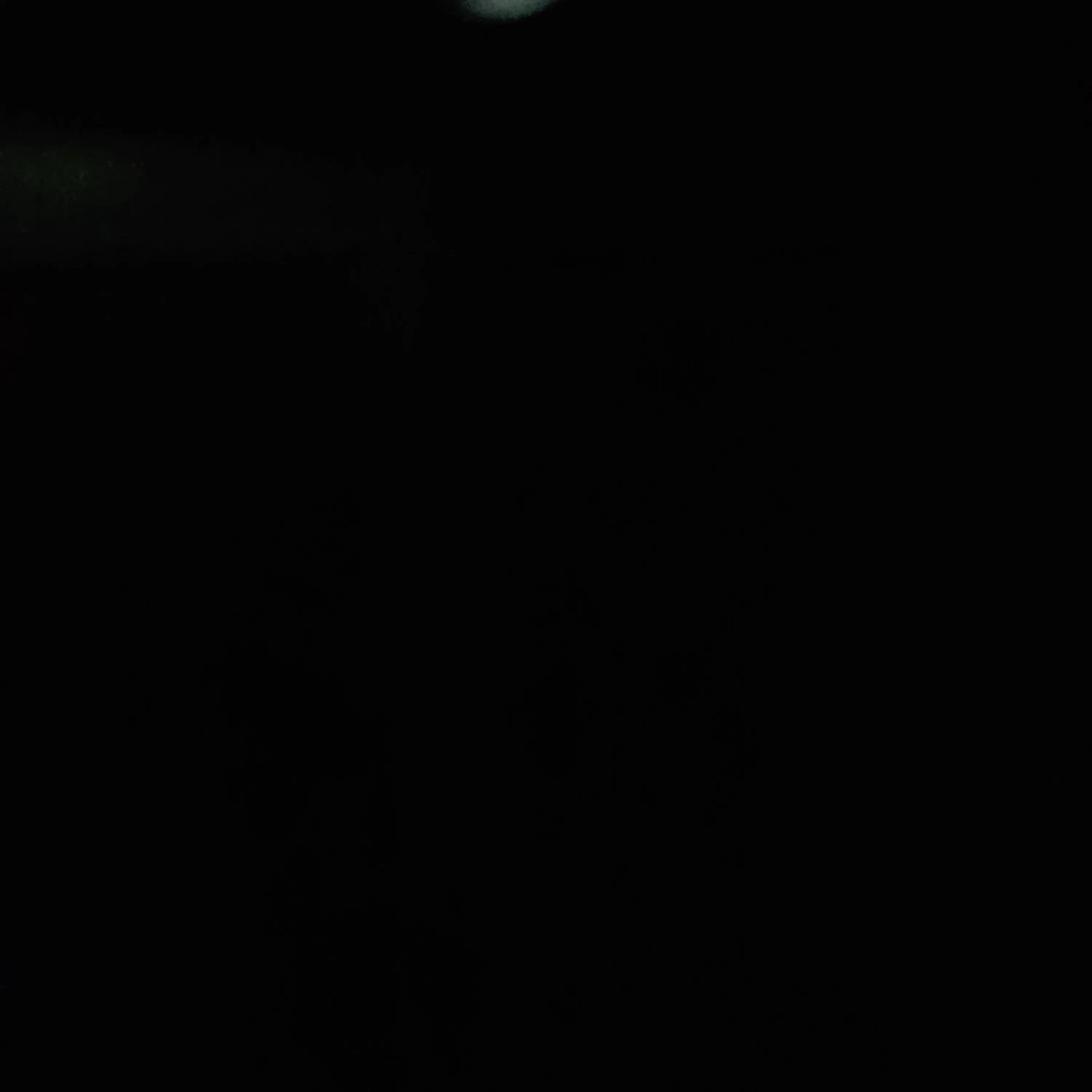 RelishLeech7487의 조직