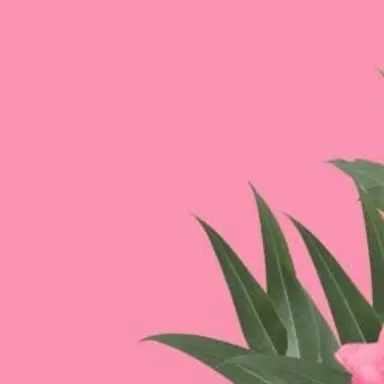 Profile image of 주르르