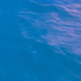 Profile image of 파크모