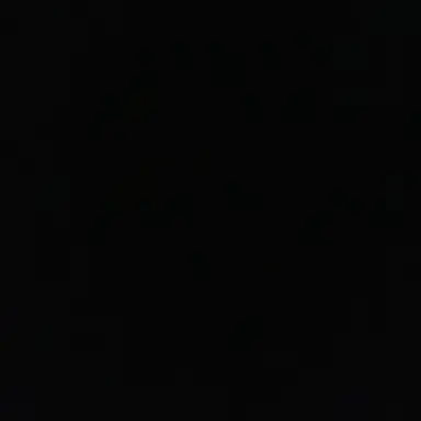 Profile image of 황현진