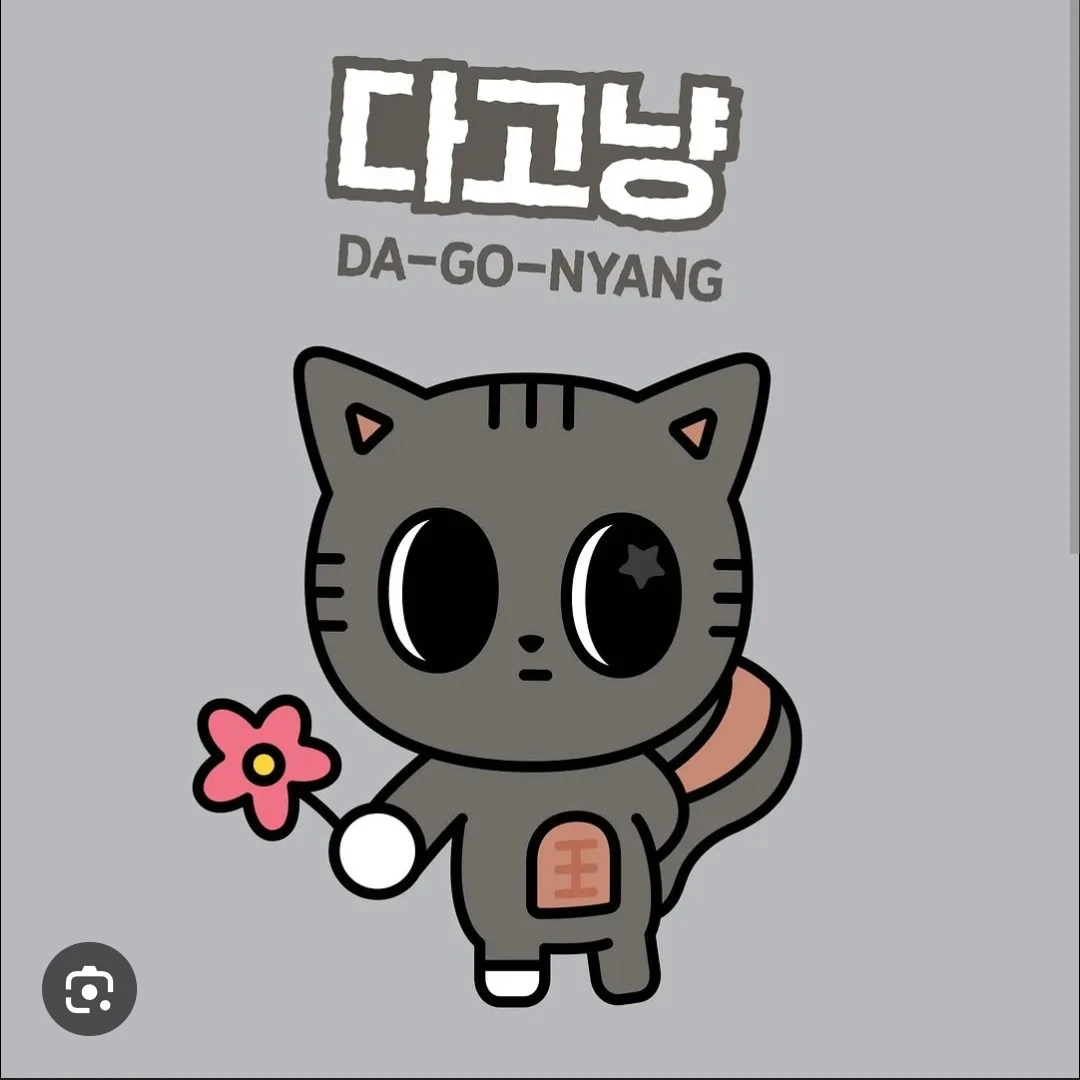 다고냥