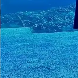 Profile image of 연이