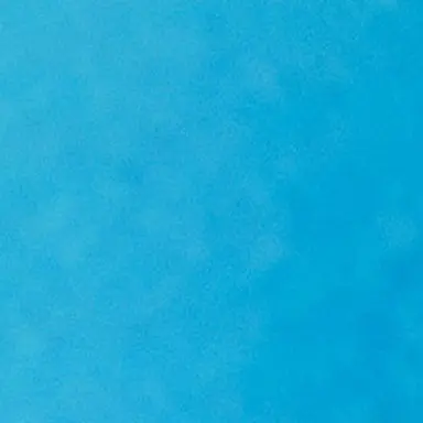 Profile image of 樹