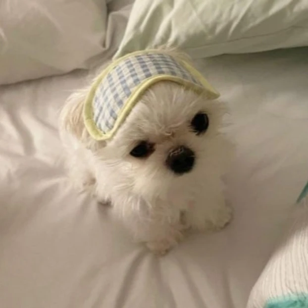 김승민