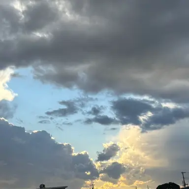 Profile image of タイトルホルダー