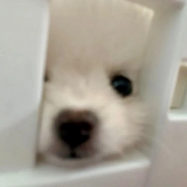 명쟤혅