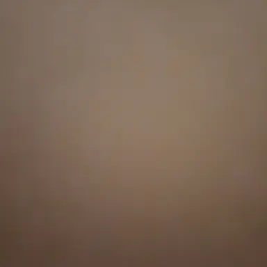 Profile image of 공룡