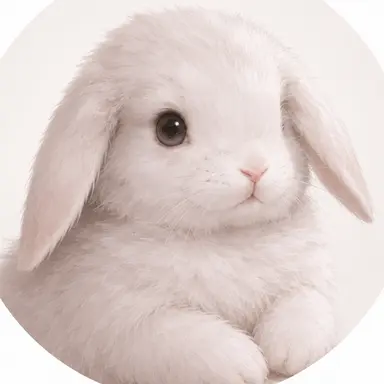 Profile image of 토토