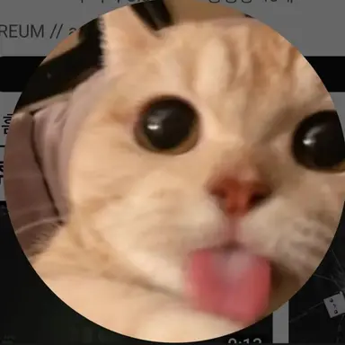 Profile image of 이름