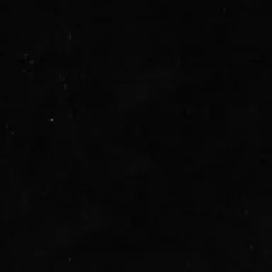 Profile image of 伏黒甚爾