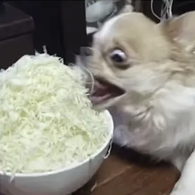 Profile image of モブ子