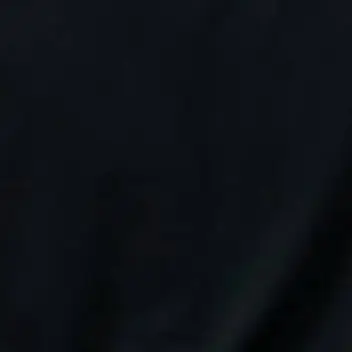dkkdkx의 유영서