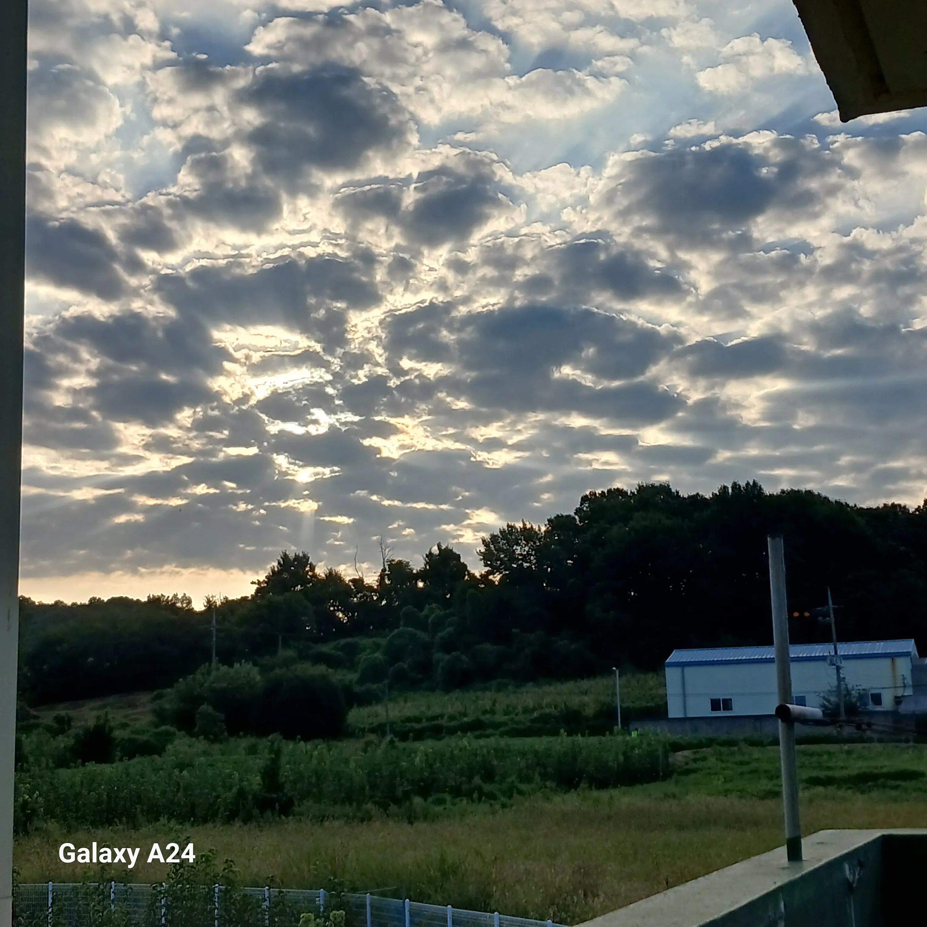 StingyBone5349의 크라임씬