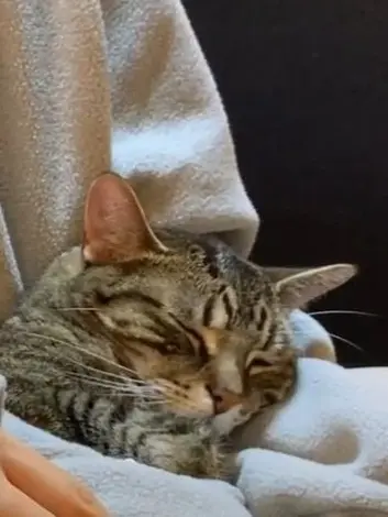 Kimleeonlover의 " 쭉- 착한아이로 살아가주겠니? "