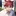 颯太