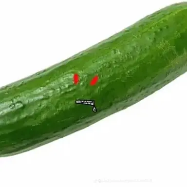 Profile image of 일엑스