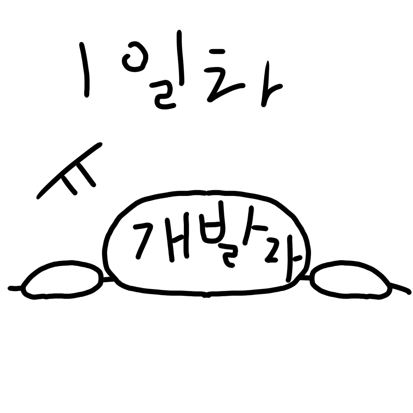 개발자