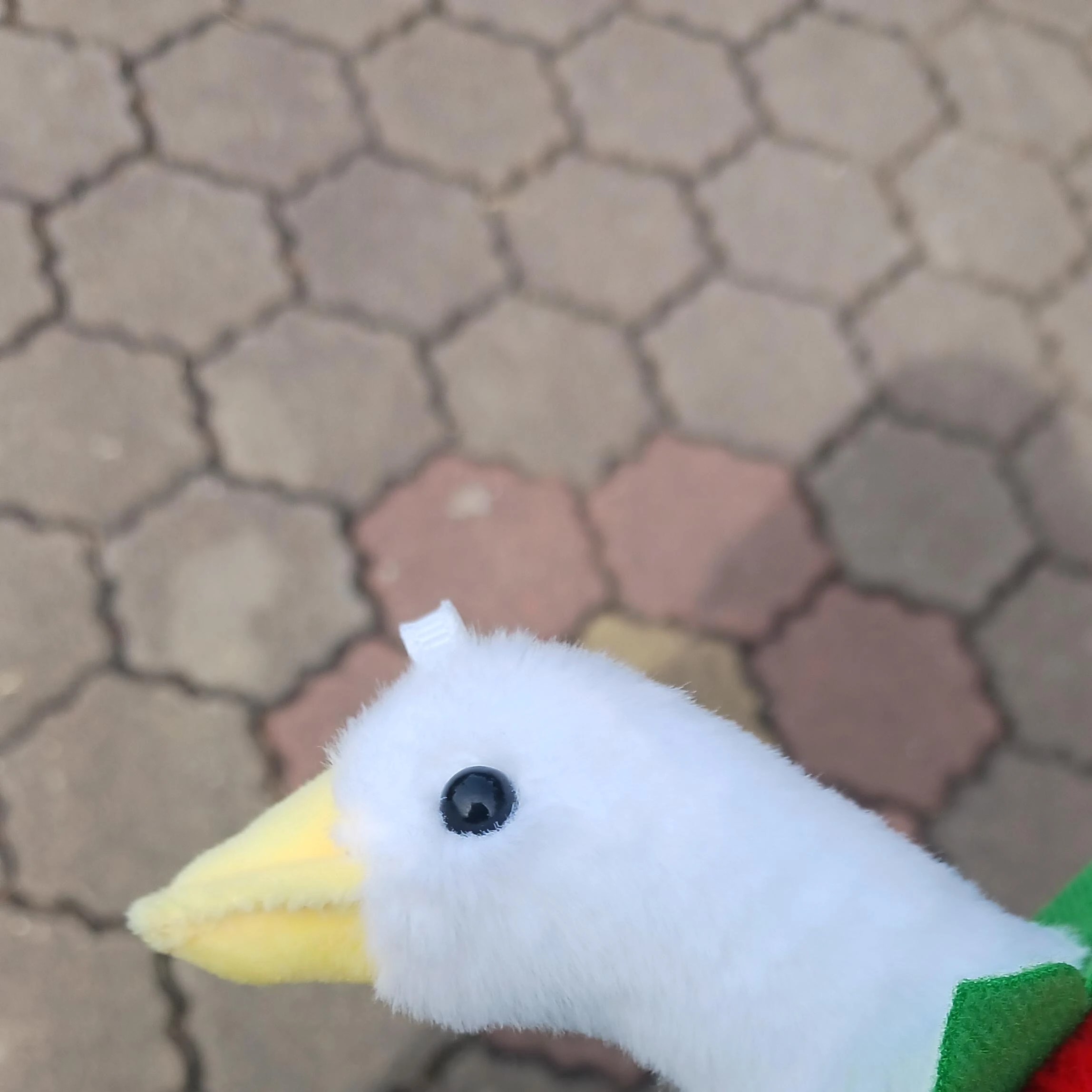 이딸밤