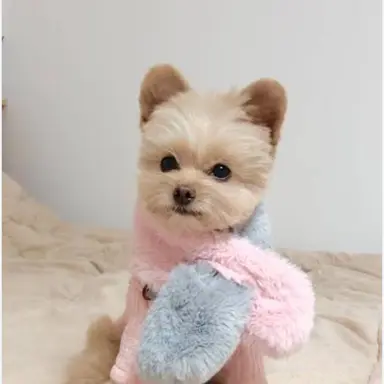 Profile image of 르네