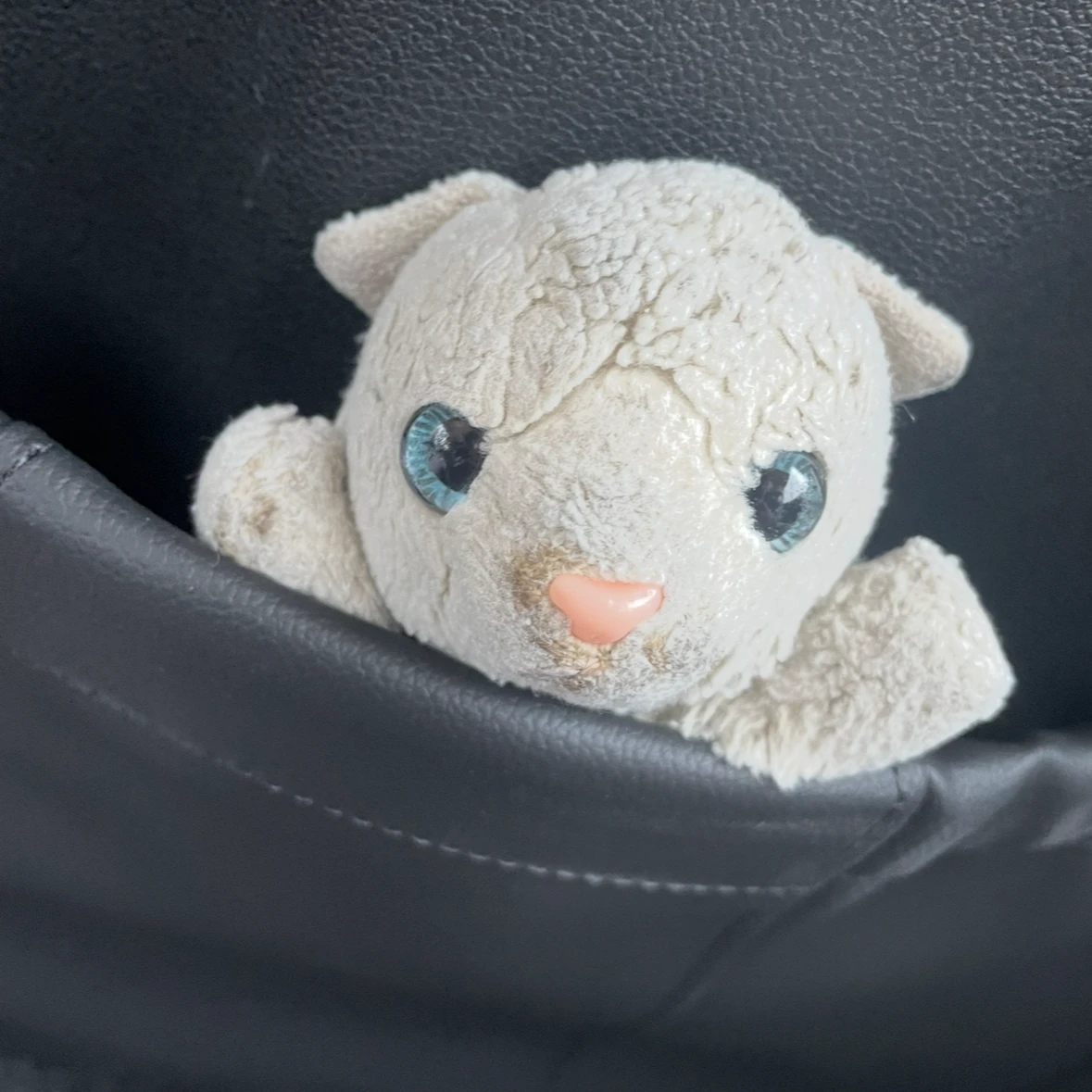 냥냥이