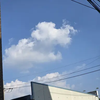 Profile image of 잠뜰