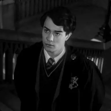 Profile image of Tom Riddle