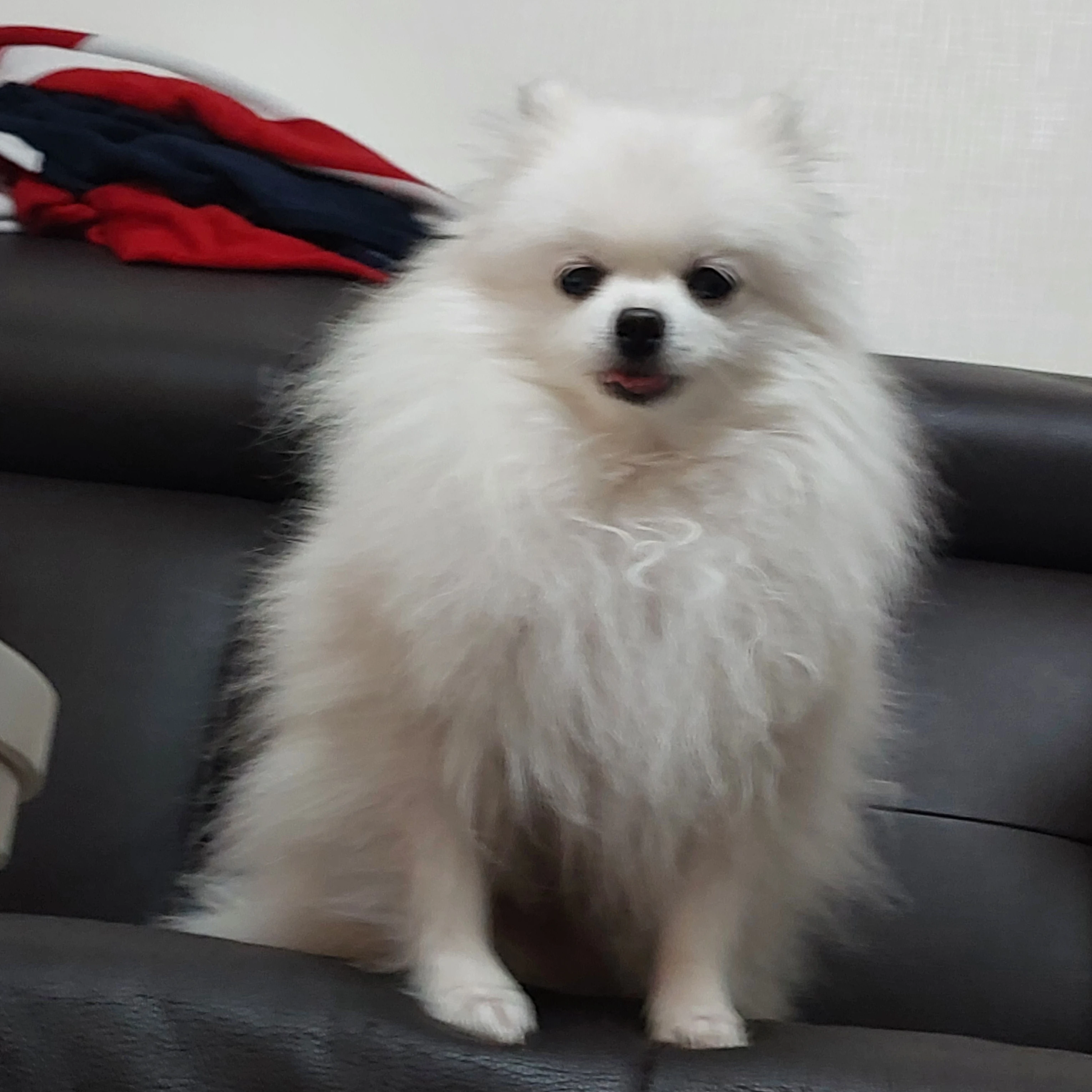무이